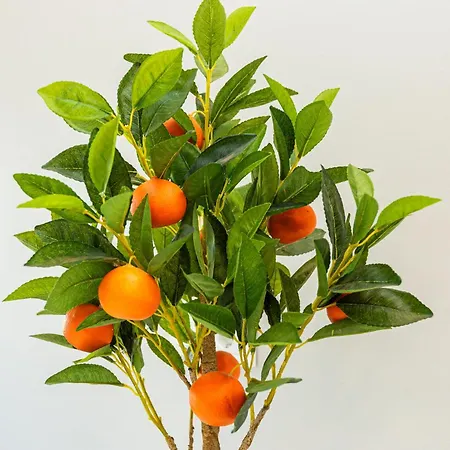 Daukanto Apartamentai Daire *