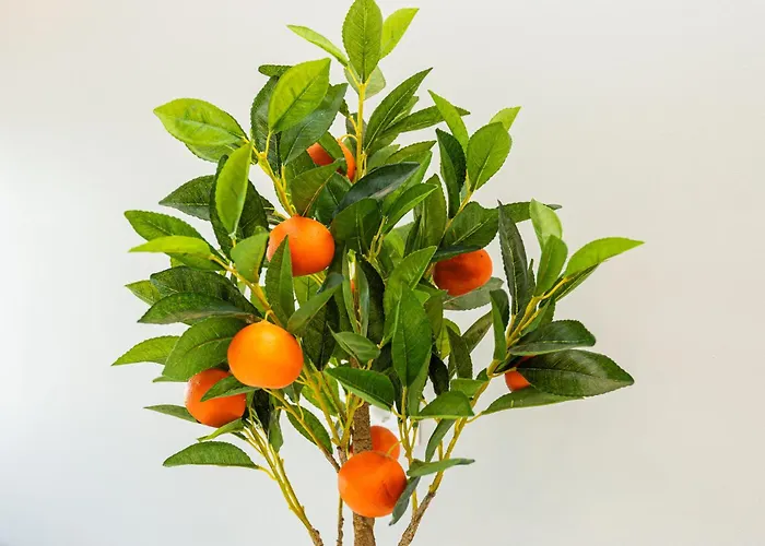 Daukanto Apartamentai Apartmán *